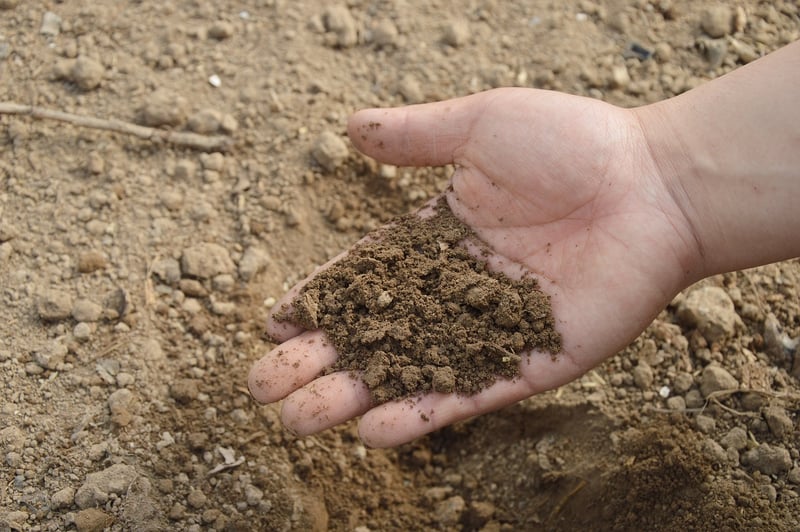 Healthy Soil
